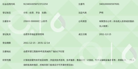 合肥大智慧信息技術(shù) 計(jì)算機(jī)軟硬件技術(shù)開發(fā)的創(chuàng)新引擎